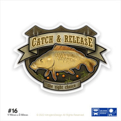 Catch & Release I